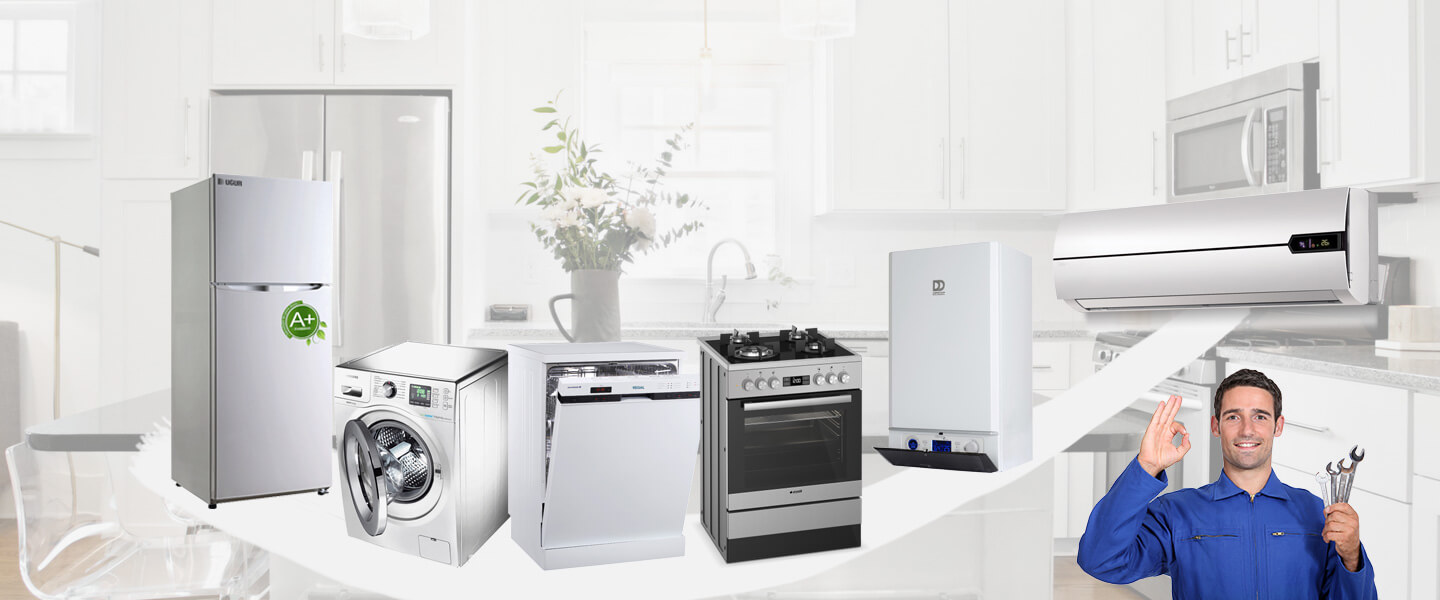 Aralık Electrolux Servisi